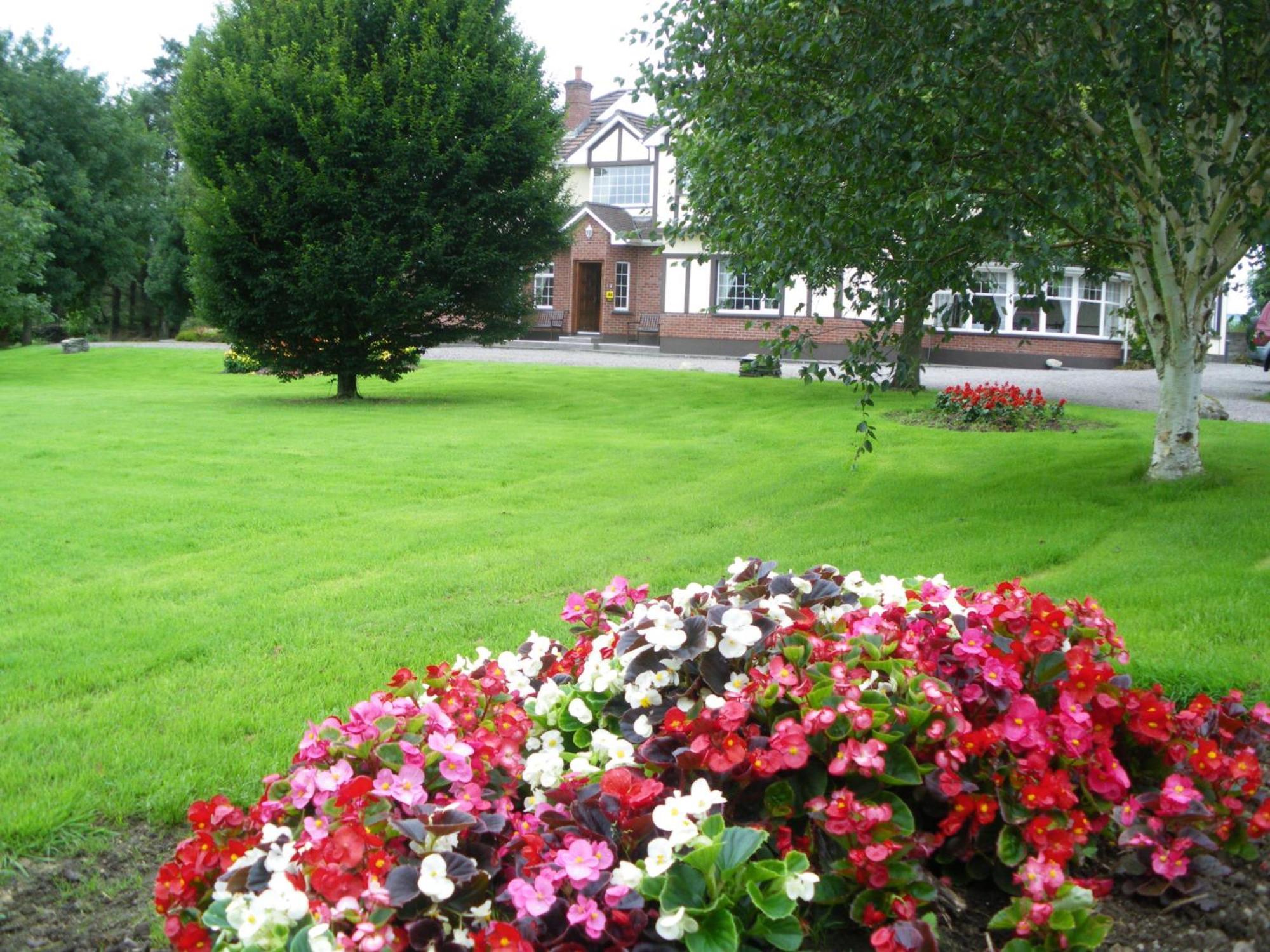 Bed and Breakfast Redwood Dunrine Exterior foto
