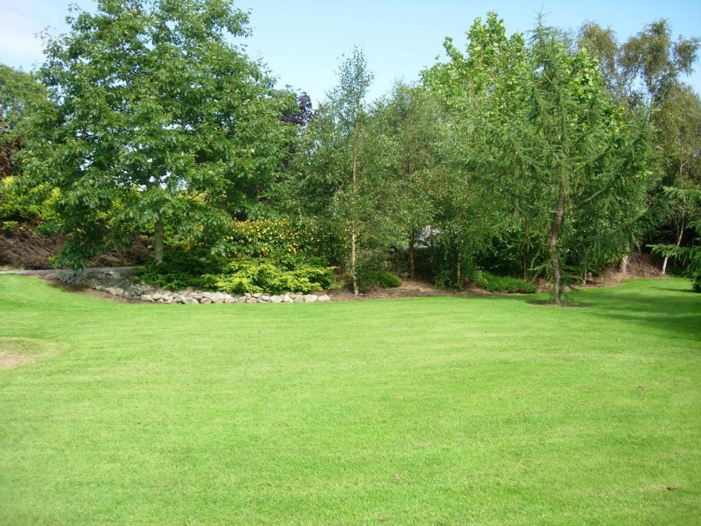 Bed and Breakfast Redwood Dunrine Exterior foto